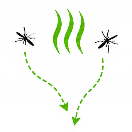 Illustration : attraction des moustiques par le leurre